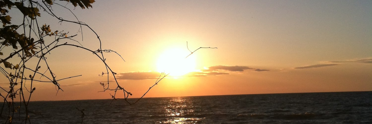 alstrong30's profile banner image