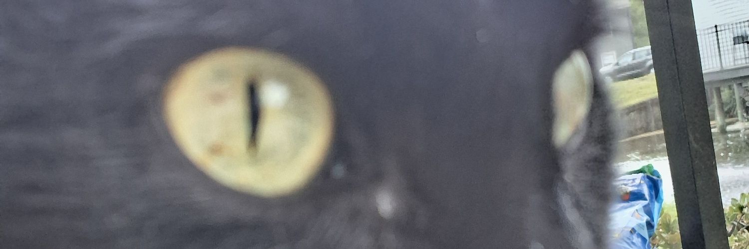 Cjohnson0545's profile banner image