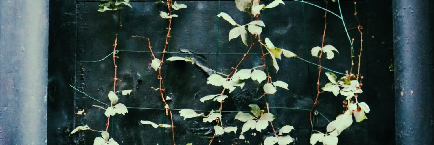 emmanobles's profile banner image