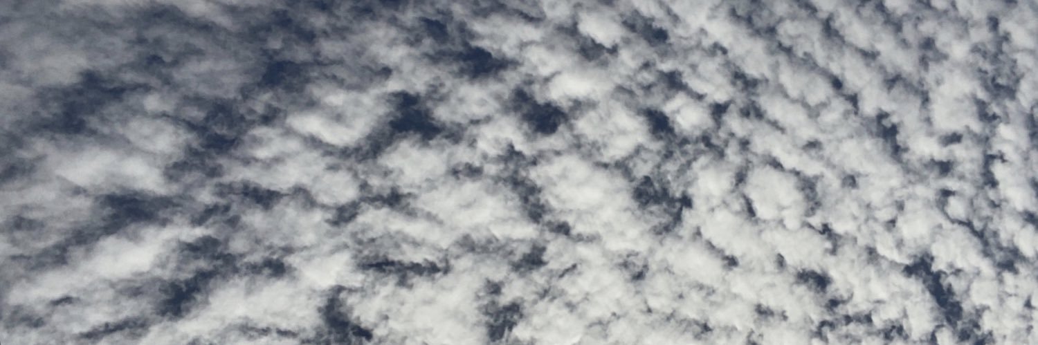 alysonrubyj's profile banner image