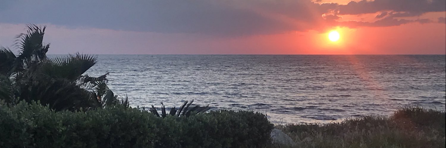 suzenicholson's profile banner image