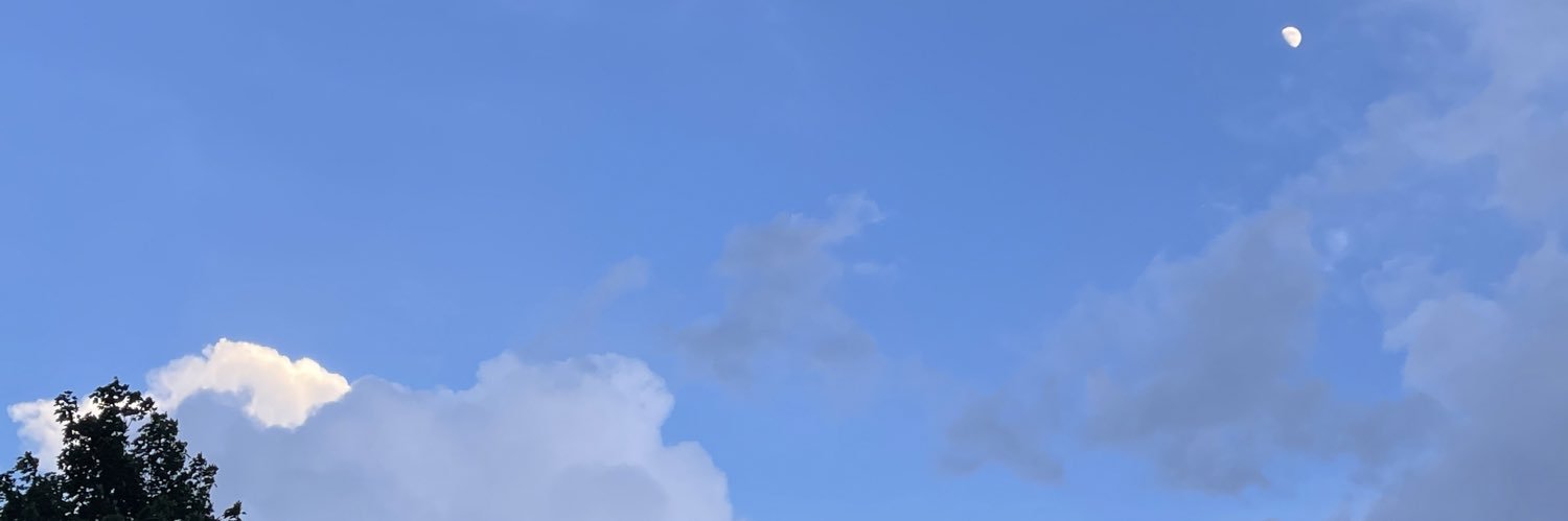 angiwyn's profile banner image
