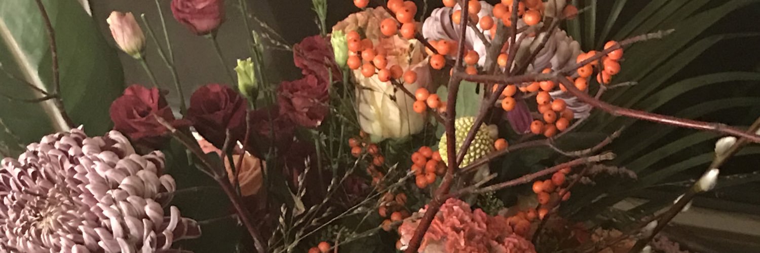 robertagerini5's profile banner image