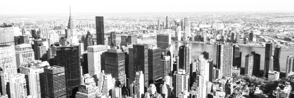 toripaigeking's profile banner image
