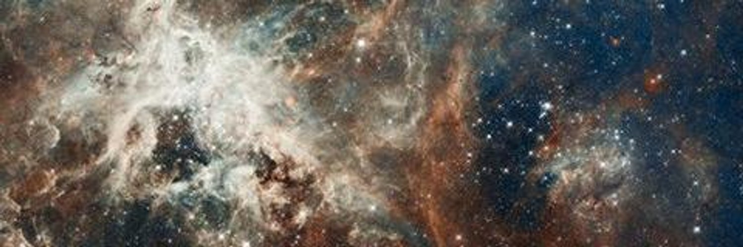 DanioNenkov's profile banner image