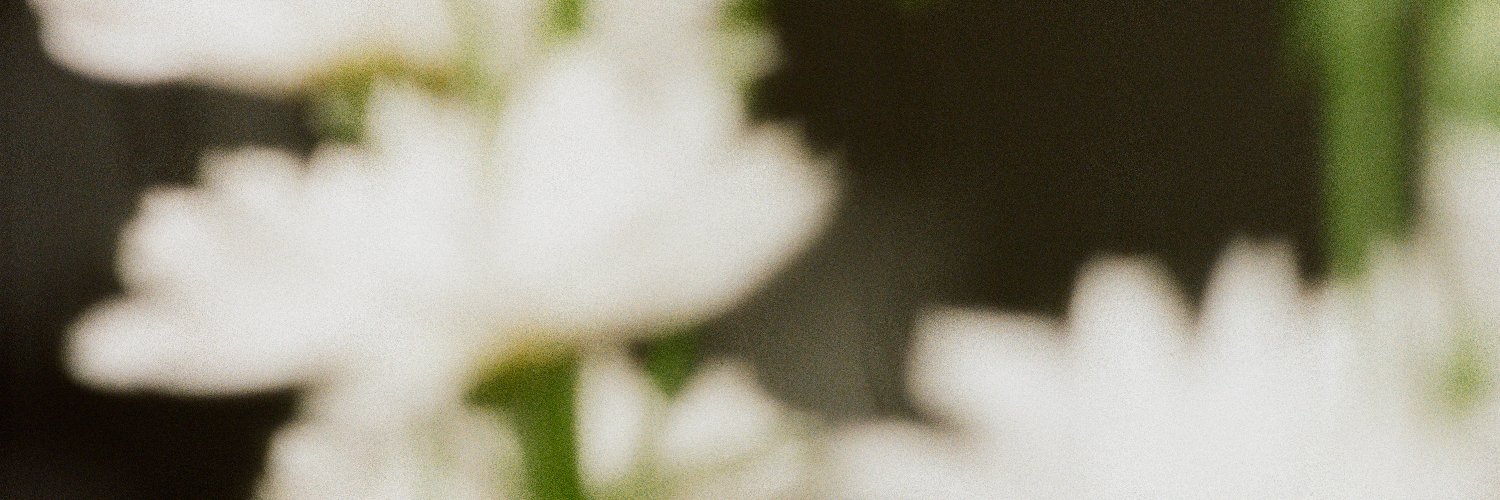 Bianca banner