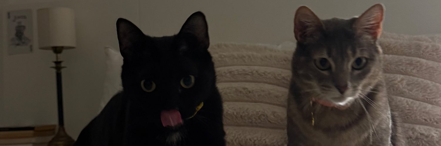 tuyarinaldi's profile banner image
