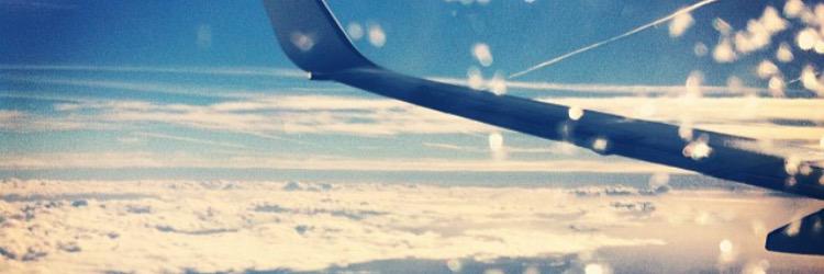 shawneeshepherd's profile banner image