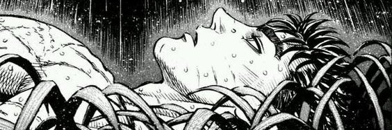 Rillua banner