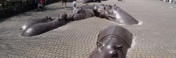 denimull Profile Banner