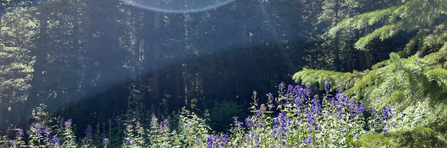 itsmelisss's profile banner image