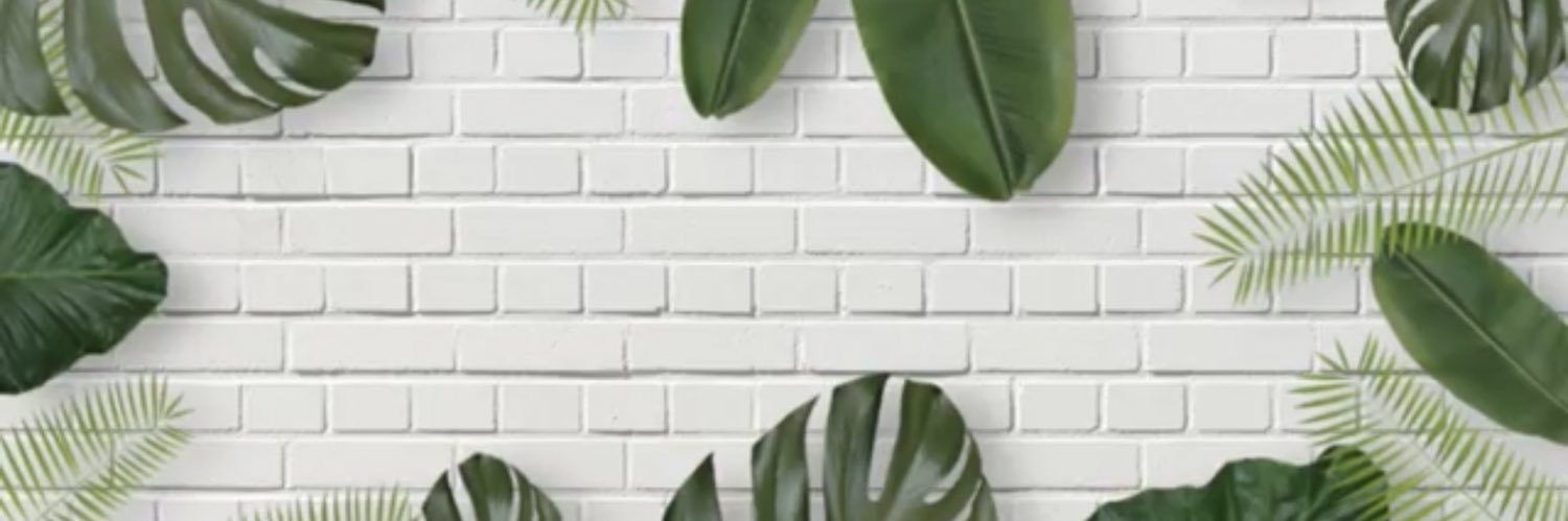 JvBeLike's profile banner image