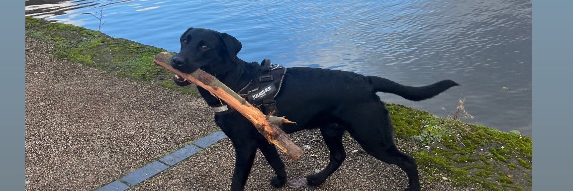 Laura Fortune banner