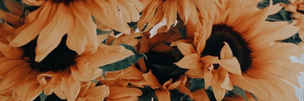 HaleyAbesamis's profile banner image