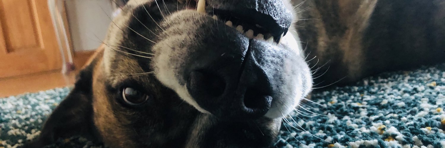 Sheenyyyyyy's profile banner image