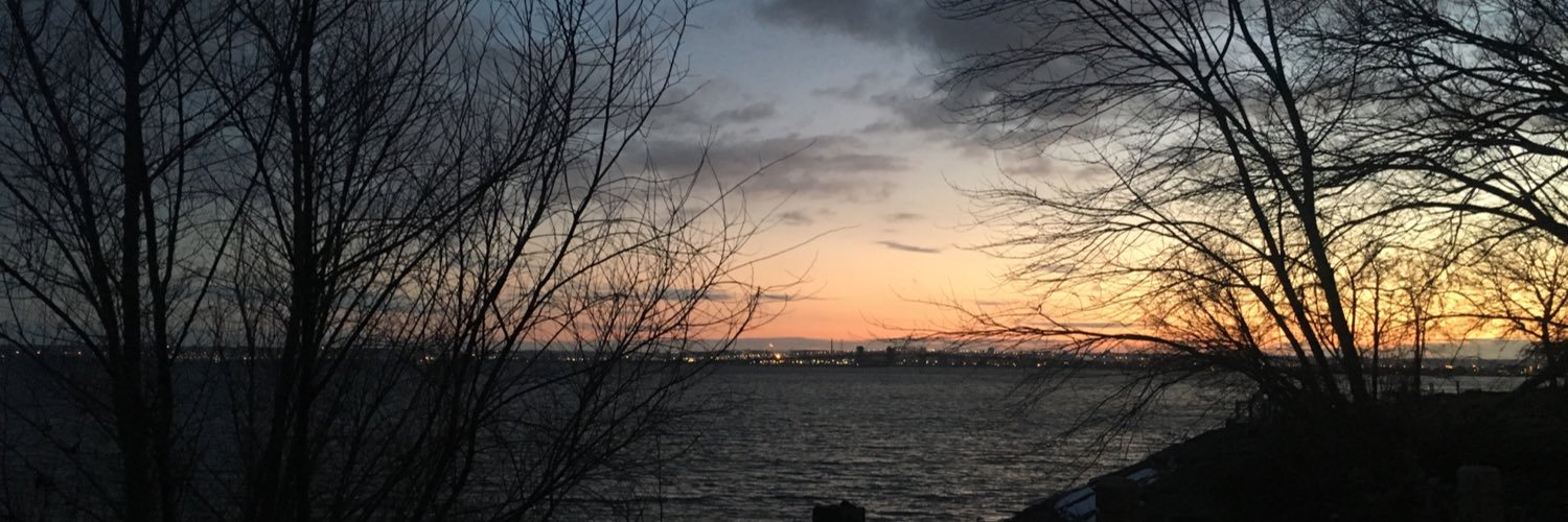NancyKeough's profile banner image