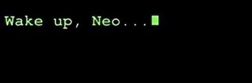 017Paulo 🦂 banner