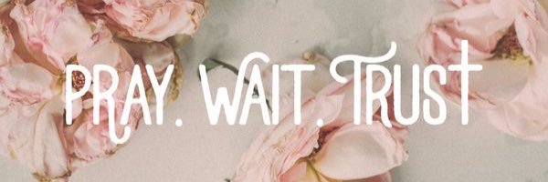 Gracie banner