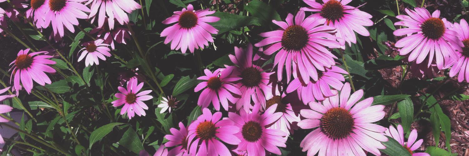 hannahkrusinger's profile banner image