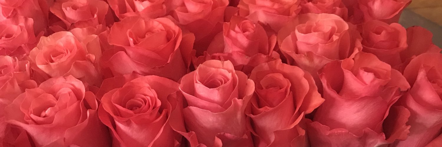 Doris__Sandra's profile banner image