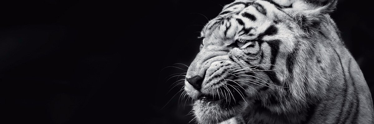 TheOdiin's profile banner image