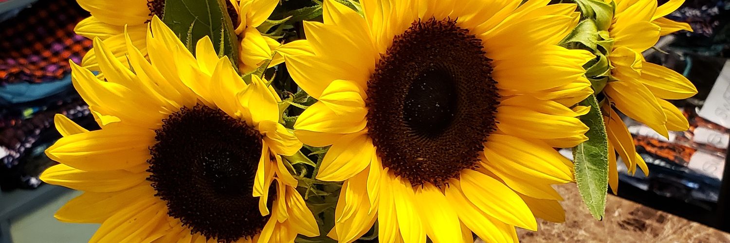 Neinora's profile banner image