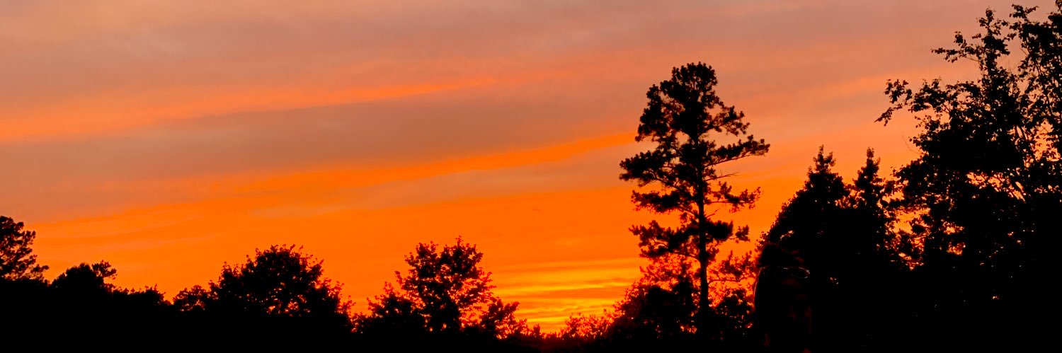 mccallfaulkner's profile banner image