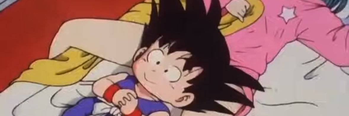 FlyGuyPapii's profile banner image