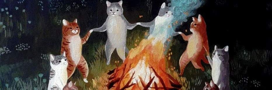 yo_palula's profile banner image