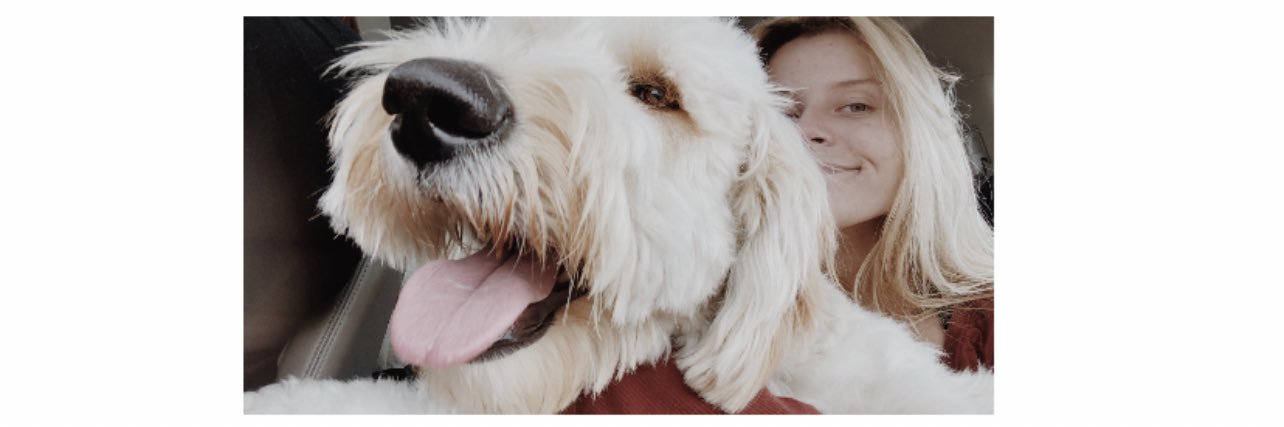 alliestoffel's profile banner image