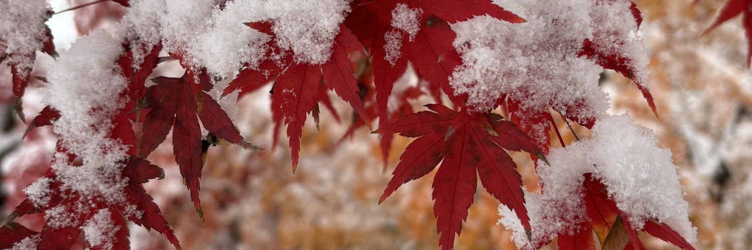 btlee2011's profile banner image