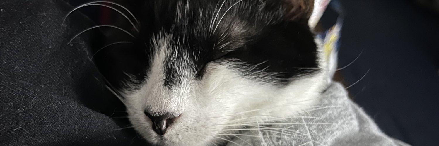 Cheezey_boi's profile banner image