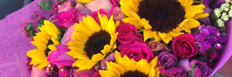 Maria_Shamill's profile banner image