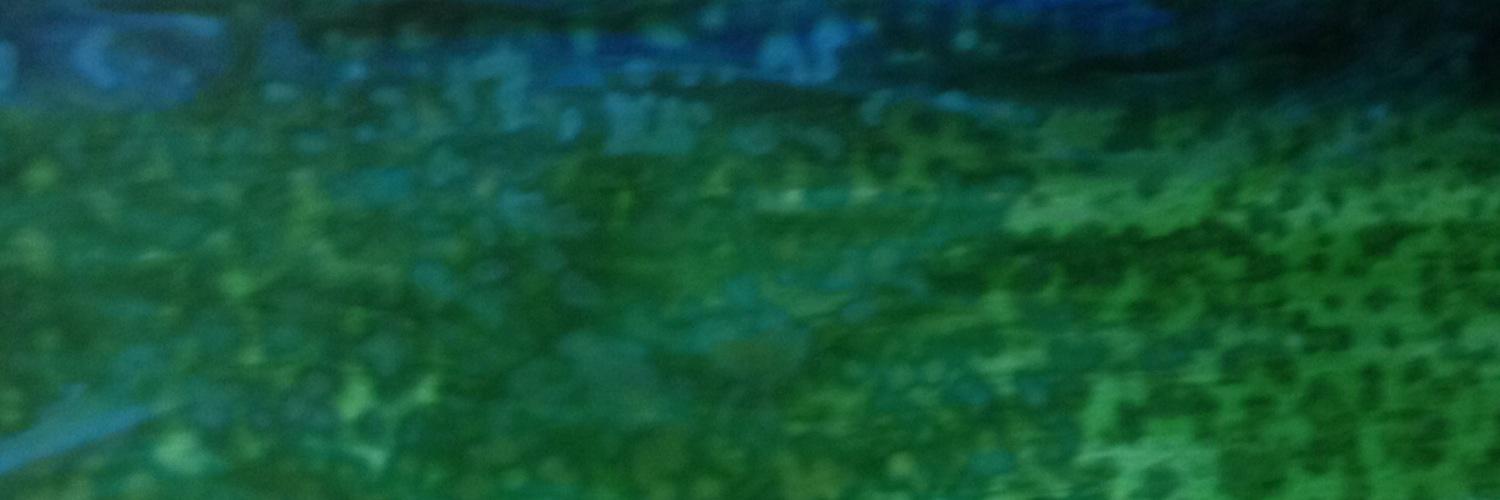 glass_lassie's profile banner image