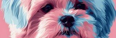iambellypuff's profile banner image