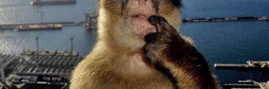 Terms and Conditions banner