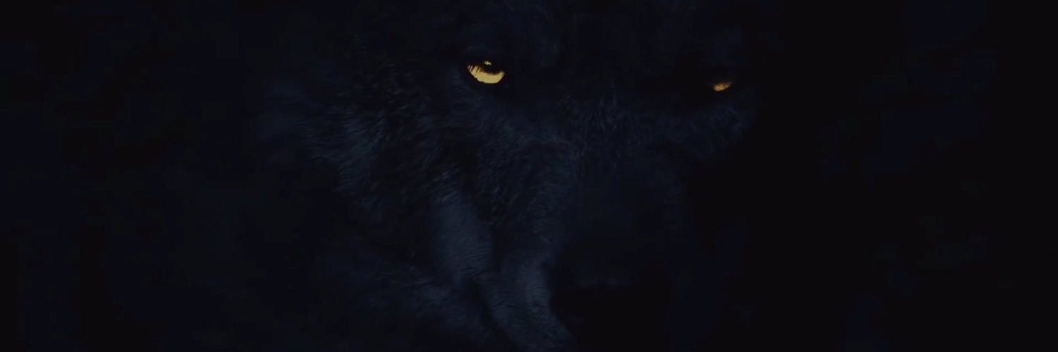 luvvjusss's profile banner image