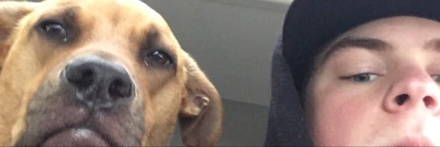 Carson_Coyle's profile banner image