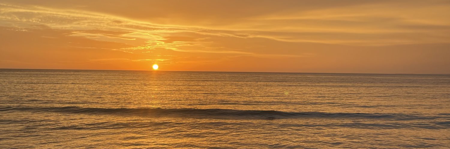 Sh_saavedra's profile banner image