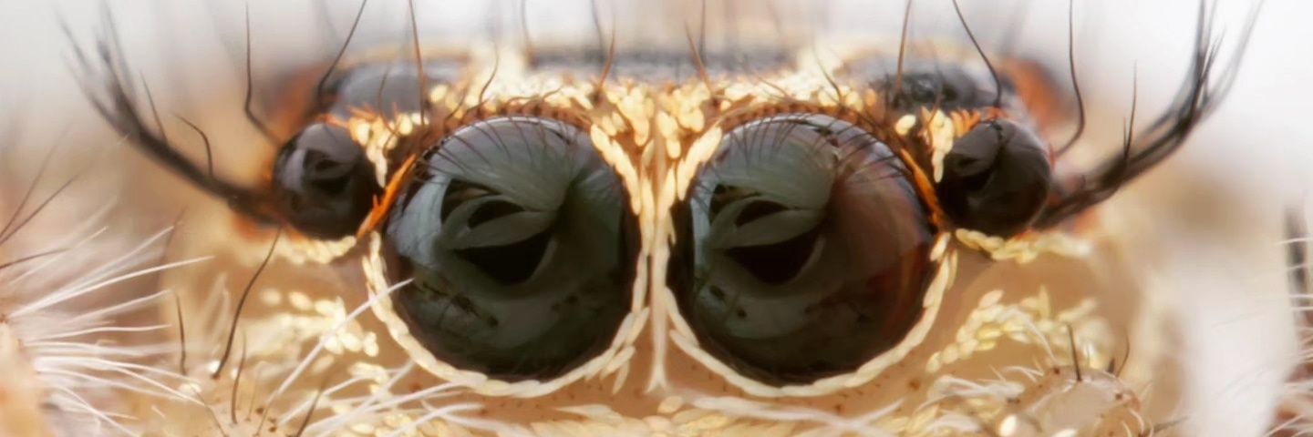 danm3d_'s profile banner image