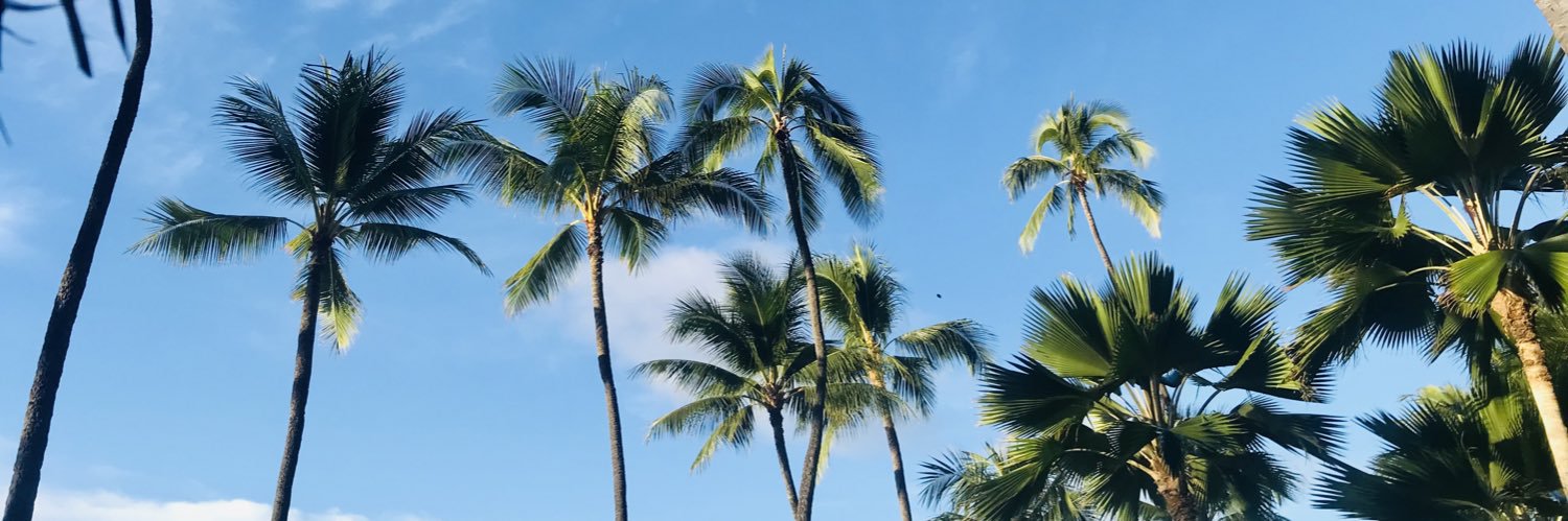 SavMLentz's profile banner image