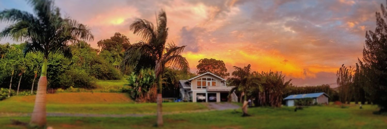 On_The_DLO's profile banner image