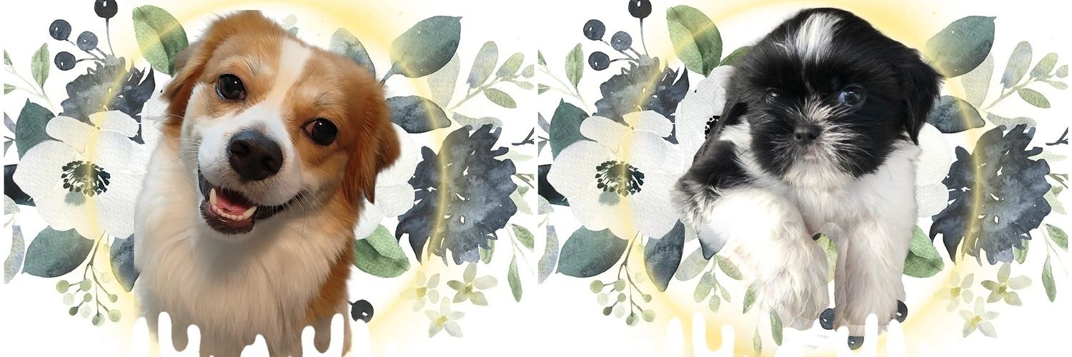 cahucomjd's profile banner image