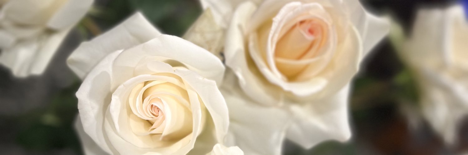 MeishaNotNeisha's profile banner image