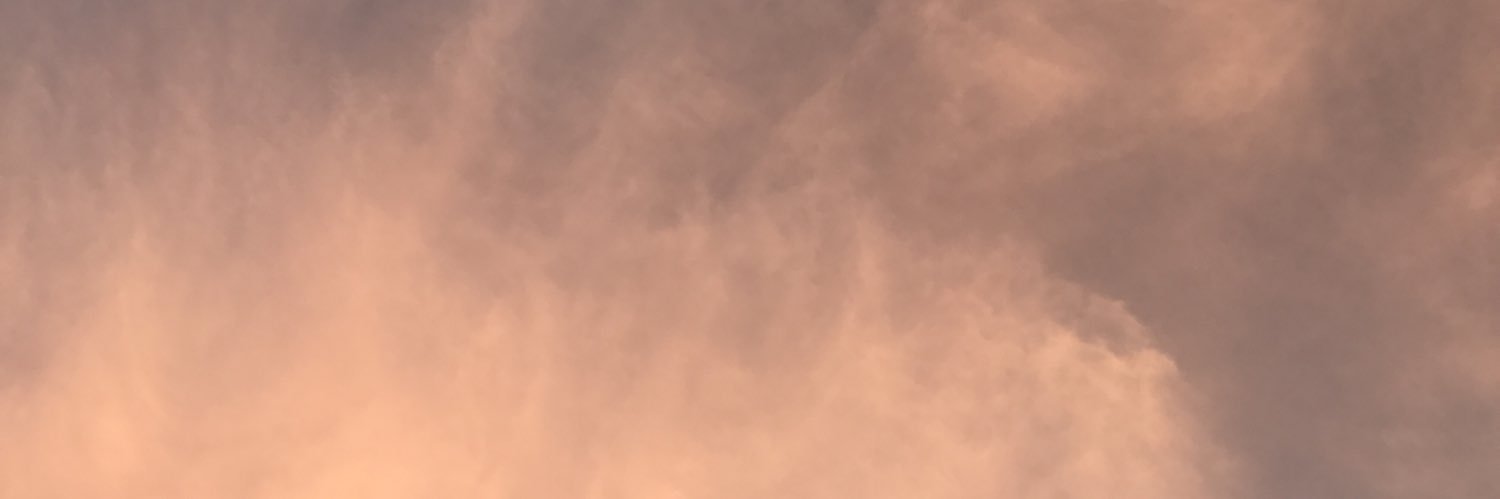 honeypdf's profile banner image