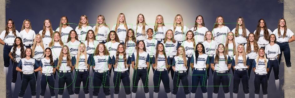 ESHS Storm Softball banner