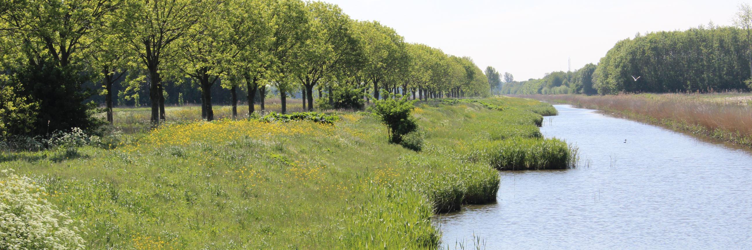 Almere_Hout's profile banner image