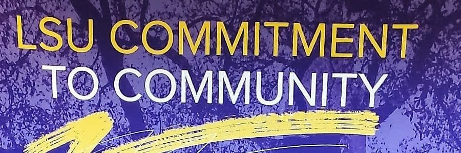 LSUdeanstudents's profile banner image