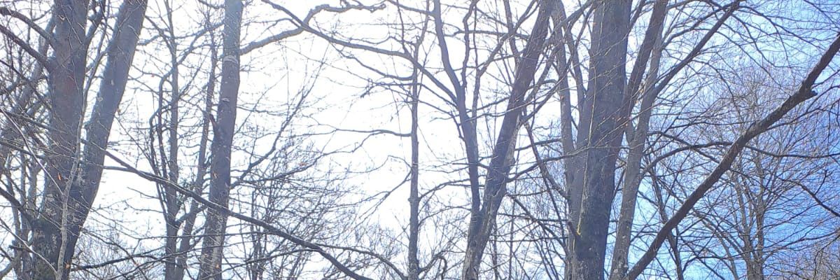 hitzeder11's profile banner image