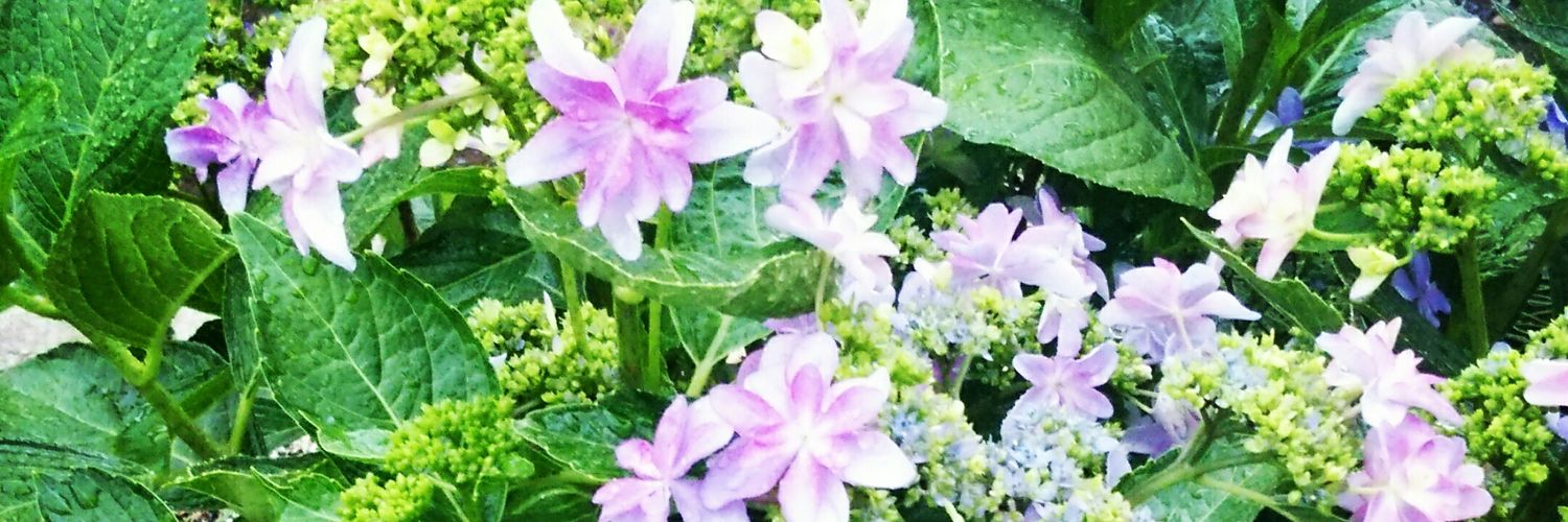 Kurin_K's profile banner image